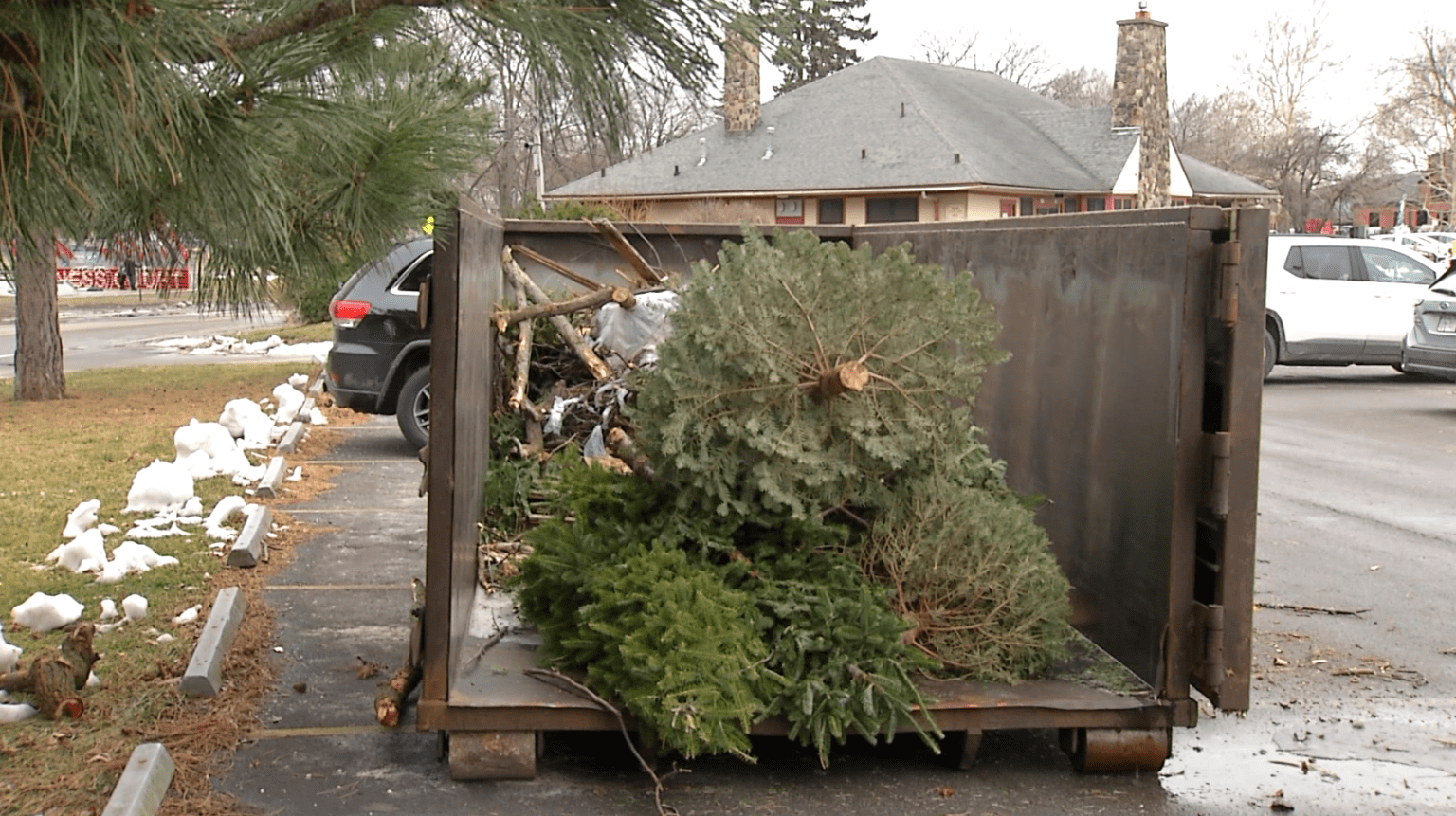 How to recycle Christmas trees in Monroe County