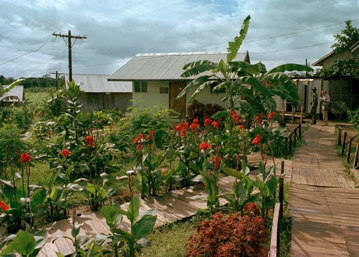 More Than 900 People Died In Jonestown. Guyana Wants To Turn It Into A ...